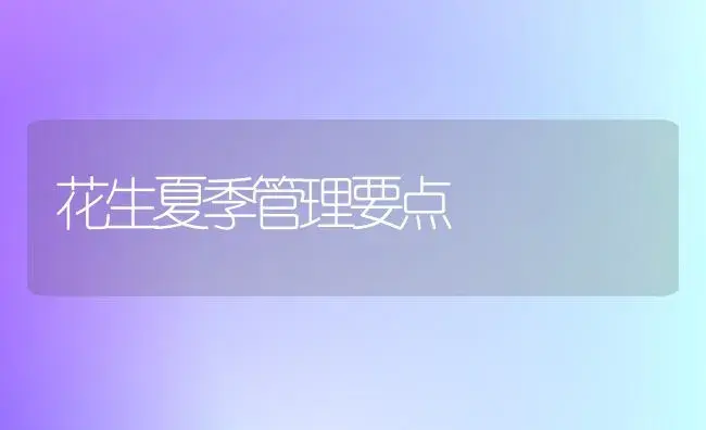 花生夏季管理要点 | 植物科普