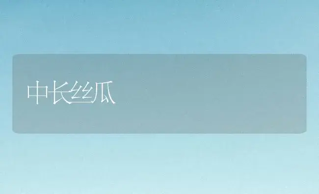 中长丝瓜 | 植物百科