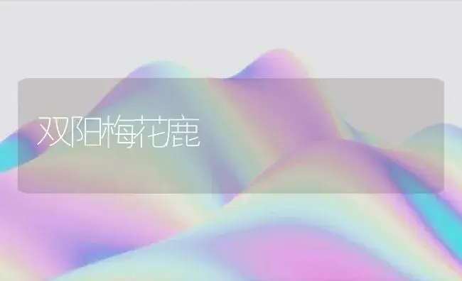 双阳梅花鹿 | 植物科普