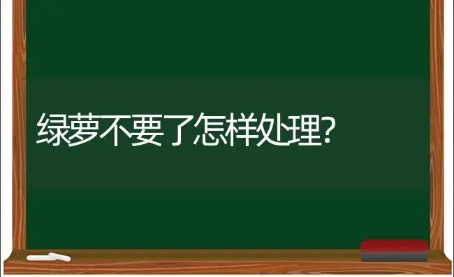 绿萝不要了怎样处理？ | 植物问答