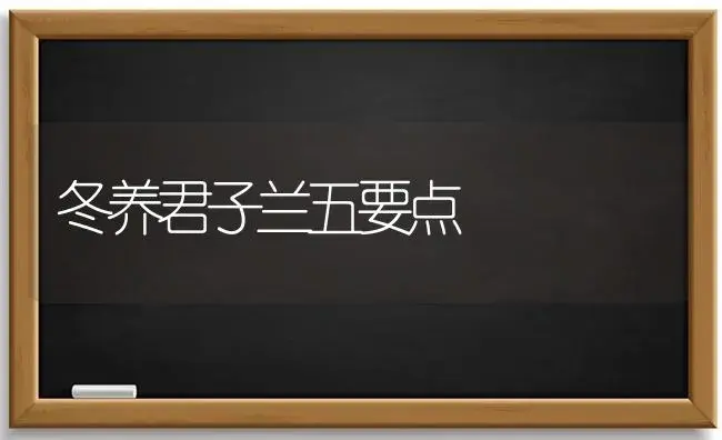 冬养君子兰五要点 | 植物科普