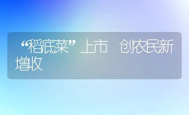“稻底菜”上市 创农民新增收 | 植物科普