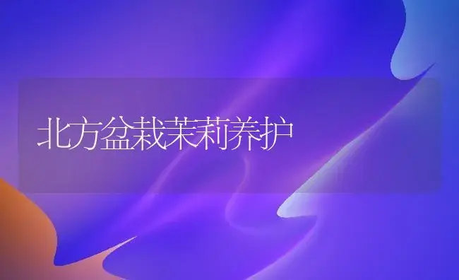北方盆栽茉莉养护 | 植物知识