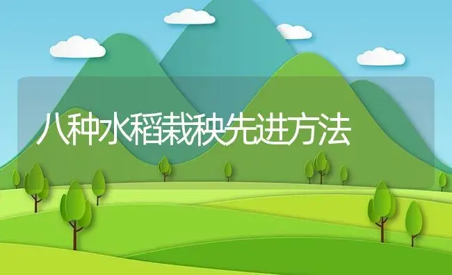 八种水稻栽秧先进方法 | 植物资料