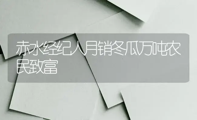 赤水经纪人月销冬瓜万吨农民致富 | 植物百科