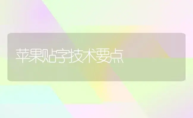 如何确定葡萄株行距 | 植物科普