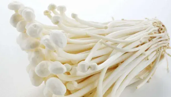 家里怎么种金针菇