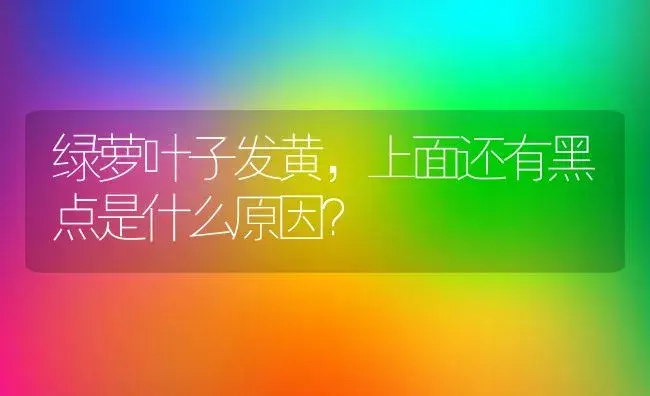 绿萝叶子发黄，上面还有黑点是什么原因？ | 植物问答