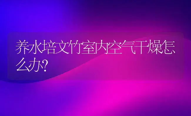 养水培文竹室内空气干燥怎么办？ | 植物问答