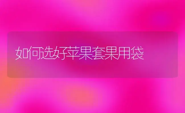 如何选好苹果套果用袋 | 植物科普