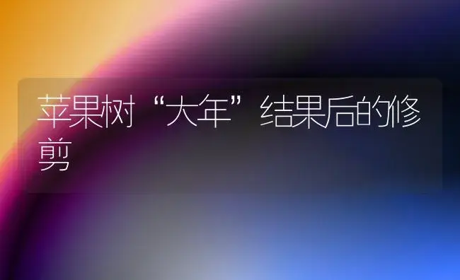 苹果树“大年”结果后的修剪 | 植物科普