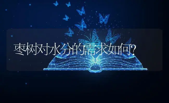 枣树对水分的需求如何？ | 植物知识