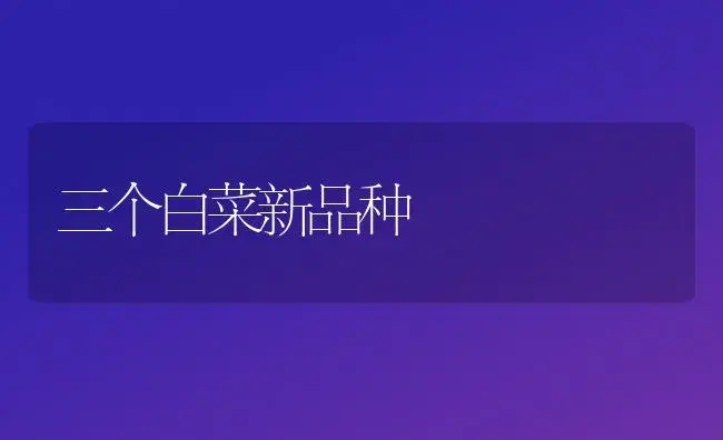 三个白菜新品种 | 植物科普