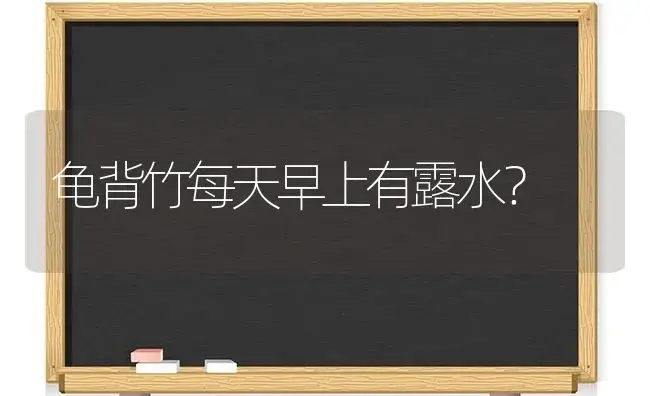 龟背竹每天早上有露水？ | 植物问答