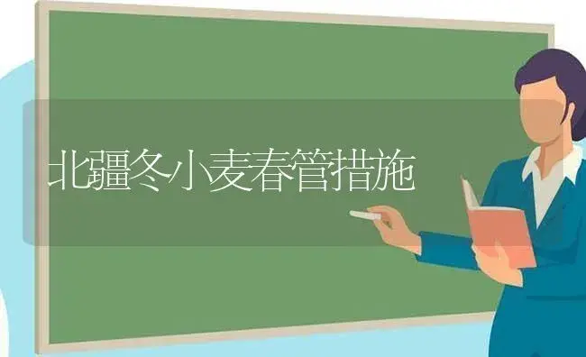 北疆冬小麦春管措施 | 植物科普