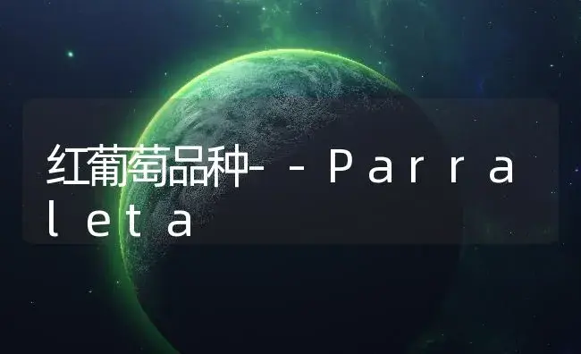 红葡萄品种--Parraleta | 植物百科