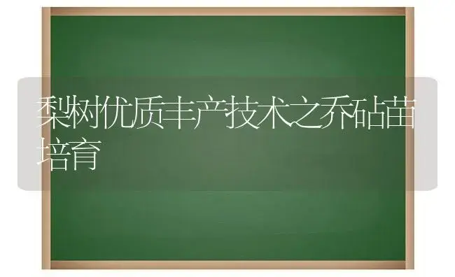 梨树优质丰产技术之乔砧苗培育 | 植物科普