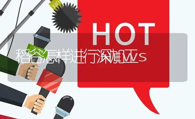稻谷怎样进行深加工 | 植物资料