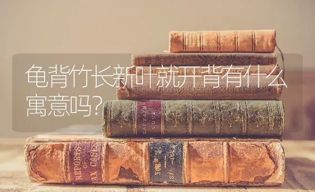 龟背竹长新叶就开背有什么寓意吗？ | 植物问答