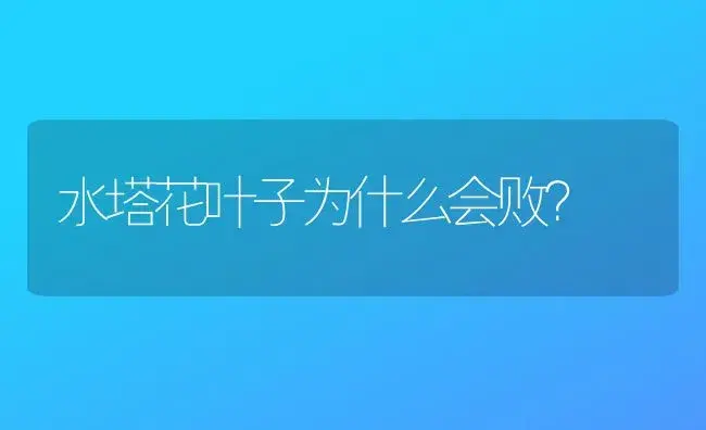 水塔花叶子为什么会败？ | 植物问答