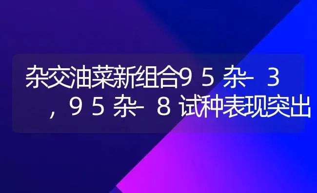 杂交油菜新组合95杂-3 ，95杂-8试种表现突出 | 植物百科