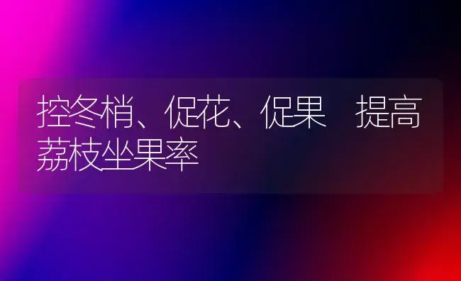 控冬梢、促花、促果 提高荔枝坐果率 | 植物科普