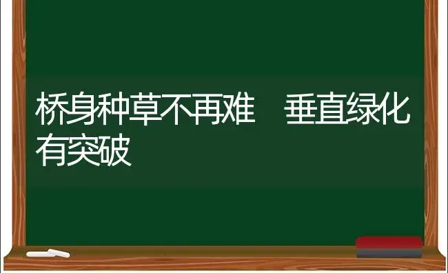 桥身种草不再难　垂直绿化有突破 | 植物科普