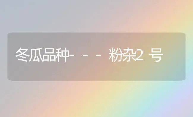 冬瓜品种---粉杂2号 | 植物百科