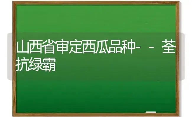 山西省审定西瓜品种--荃抗绿霸 | 植物科普