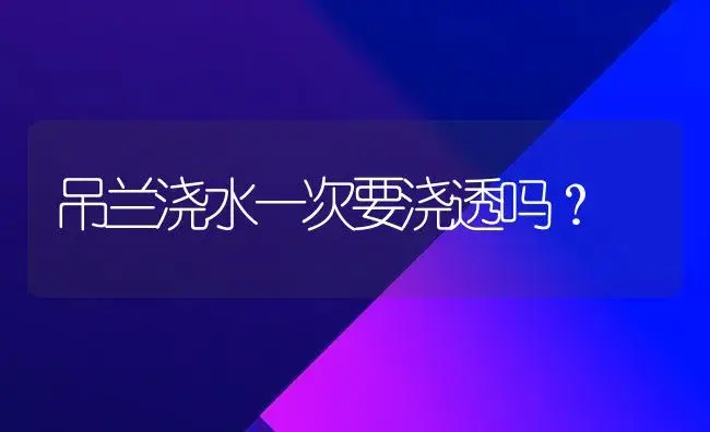 海桐的花芽是什么形状？ | 植物问答