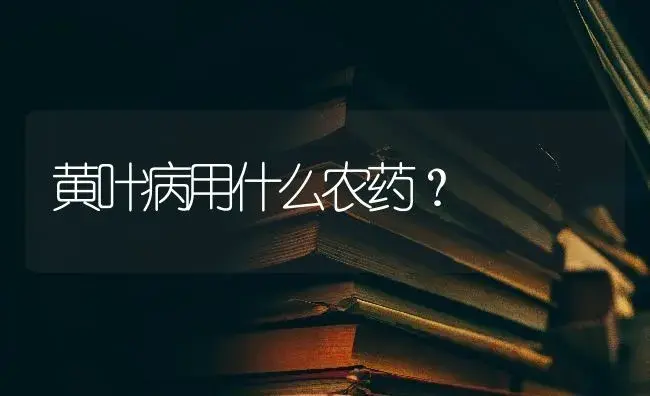 黄叶病用什么农药？ | 植物问答