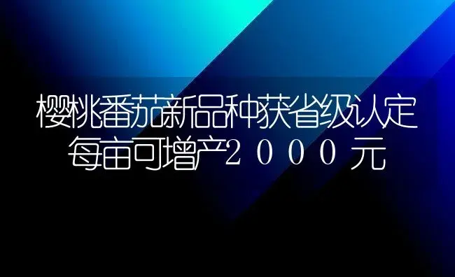 樱桃番茄新品种获省级认定 每亩可增产2000元 | 植物百科