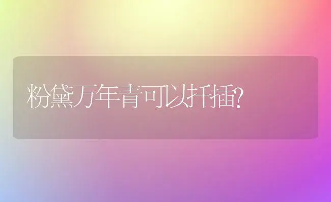 粉黛万年青可以扦插？ | 植物问答