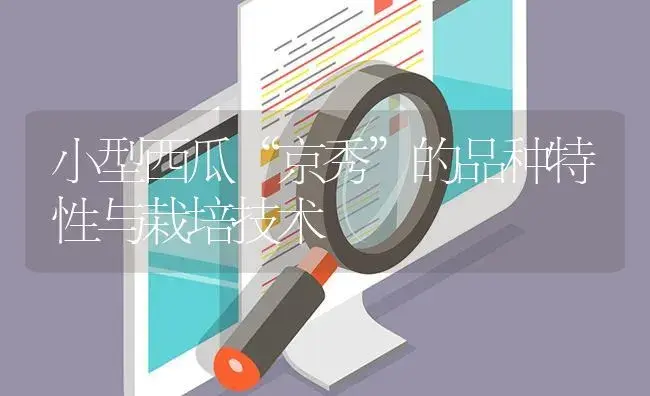 小型西瓜“京秀”的品种特性与栽培技术 | 植物百科
