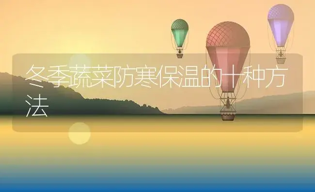 冬季蔬菜防寒保温的十种方法 | 植物资料