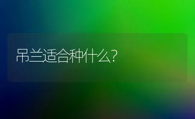 吊兰适合种什么？ | 植物问答