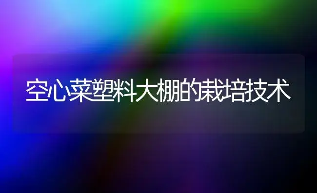 空心菜塑料大棚的栽培技术 | 植物百科
