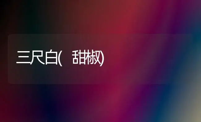 三尺白(甜椒) | 植物科普