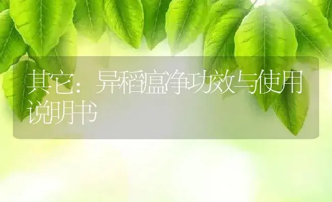 其它：异稻瘟净 | 适用防治对象及农作物使用方法说明书 | 植物资料