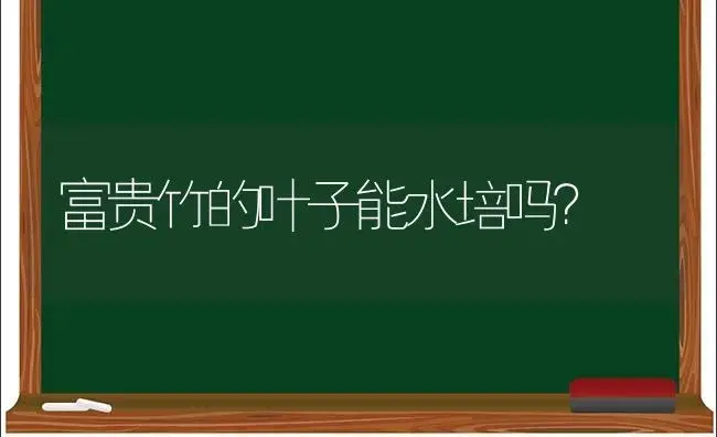 富贵竹的叶子能水培吗？ | 植物问答