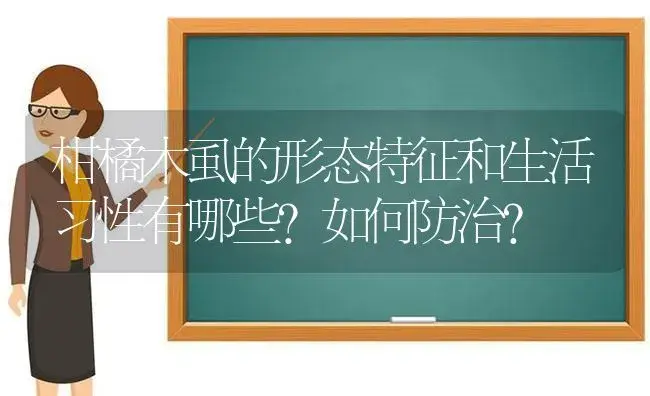 柑橘木虱的形态特征和生活习性有哪些？如何防治? | 植物百科