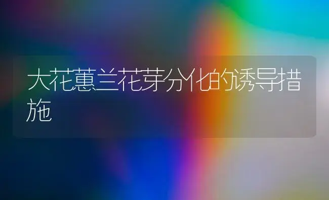 大花蕙兰花芽分化的诱导措施 | 植物科普