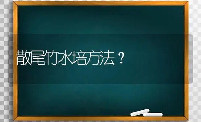 散尾竹水培方法？ | 植物问答