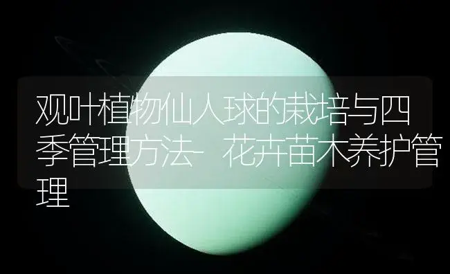 观叶植物仙人球的栽培与四季管理方法-花卉苗木养护管理 | 植物知识
