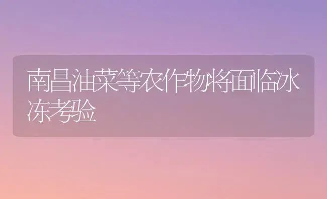 南昌油菜等农作物将面临冰冻考验 | 植物科普