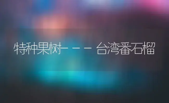 特种果树---台湾番石榴 | 植物科普