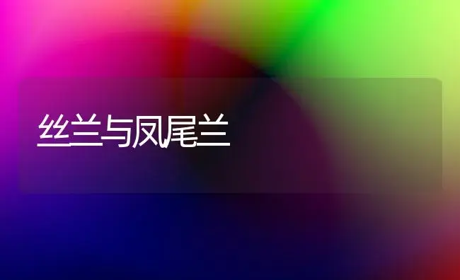 丝兰与凤尾兰 | 植物知识