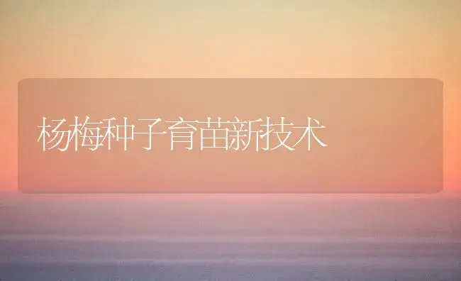 杨梅种子育苗新技术 | 植物科普