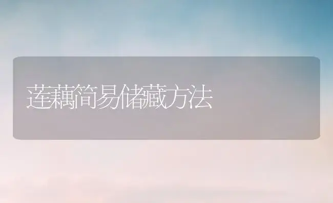 莲藕简易储藏方法 | 植物科普