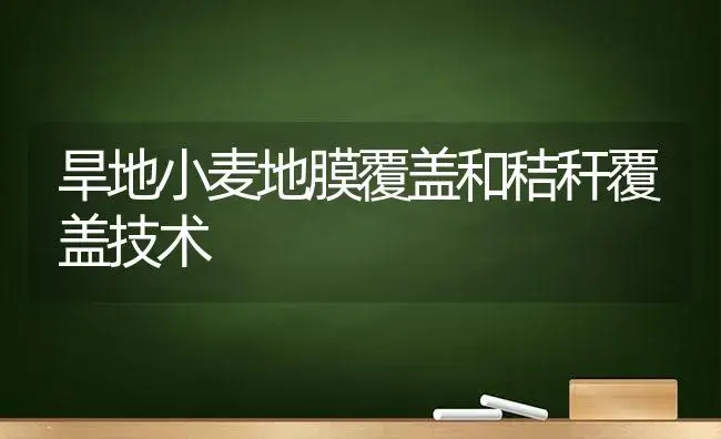 旱地小麦地膜覆盖和秸秆覆盖技术 | 植物科普